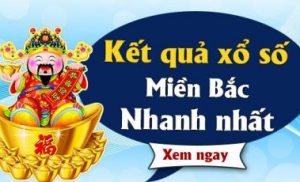 cầu loto dàn đề 10 con mb vip