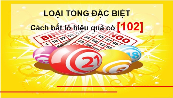 Loại tổng đặc biệt hôm nay – Cách bắt lô hiệu quả có [102]