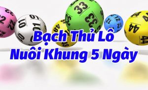 Cách nuôi lô khung bạch thủ max 5 ngày chính xác 2024