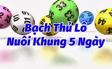 Cách nuôi lô khung bạch thủ max 5 ngày chính xác 2024