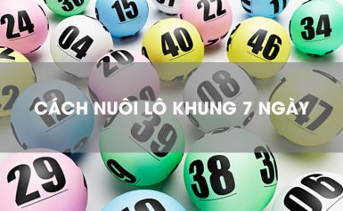 Nuôi lô khung 7 ngày hiệu quả lãi cao 100