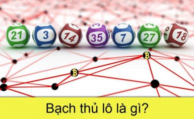 chia sẻ bí quyết soi cầu bạch thủ lô chính xác nhất