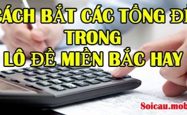 Cách tính tổng đề hiệu quả và đề chuẩn xác nhất