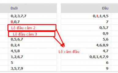 khi lô đầu câm đuôi câm đánh con gì hôm sau dễ trúng nhất